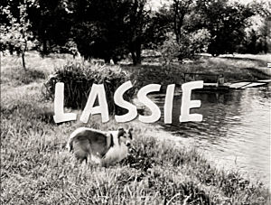 Lassie: Best Of The Lassie Show 