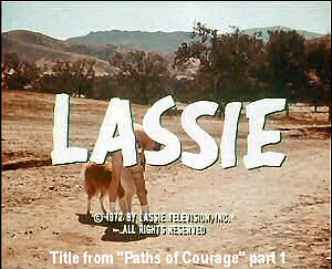 Titles from 'Paths of Courage