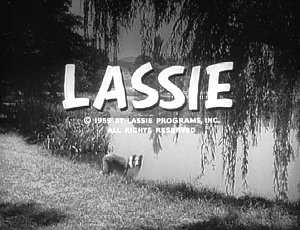 Lassie at lake #2