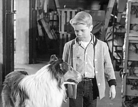 Timmy gives Lassie permission to play with Scratch