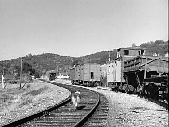 Lassie starts up the railroad tracks