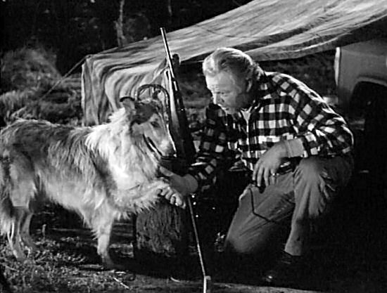 The hunter examines Lassie's paw