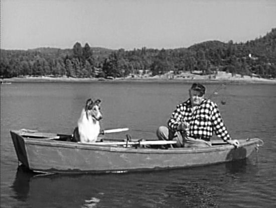 Lassie and the hunter fish