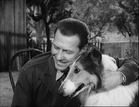 Lassie: The Wayfarers (1964) - Movie